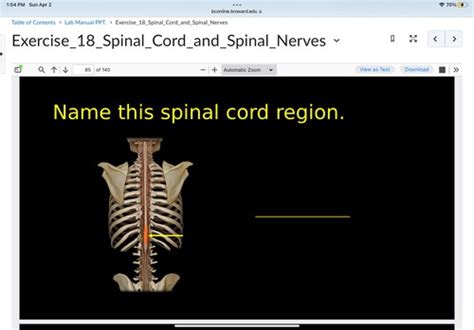 chapter 18 anatomy and physiology quizlet|anatomy and physiology ii quizlet.